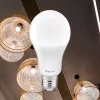 BRY-ADVANCE-16W-E27-A65-6500K-LED BULB