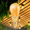 BRY-ADVANCE-6W-E27-ST64-AMB-DIM-2200K-LED BULB