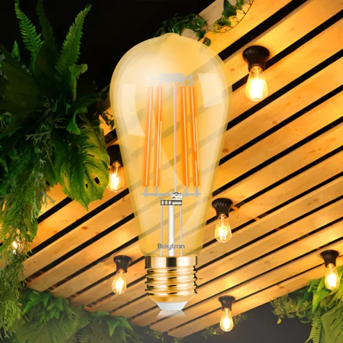 BRY-ADVANCE-6W-E27-ST64-AMB-DIM-2200K-LED BULB