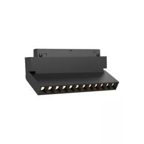 BRY-WSL250-12W-48VDC-3IN1-BLC-MAG. LINEAR