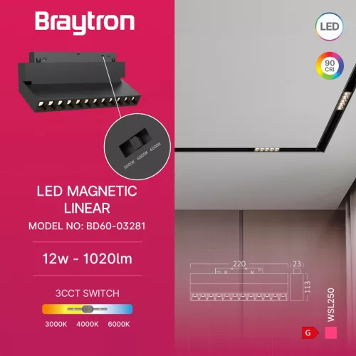 BRY-WSL250-12W-48VDC-3IN1-BLC-MAG. LINEAR