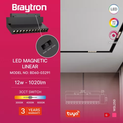 BRY-WSL250-12W-48VDC-TUYA-LAN-BLC-MAG. LINEAR
