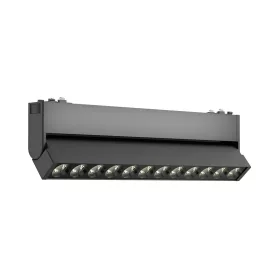 BRY-S20B-WSL250-12W-48VDC-3IN1-BLC-MAG.W.WASHER