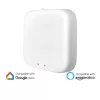 BRY-MS20-HUB-WHT-TUYA-LAN-ADAPTOR.SWITHC