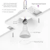 BRY-SPOTI-PLS-A-1D-SQR-WHT-PLASTER-SPOTLIGHT
