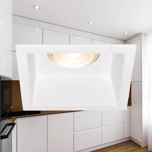 BRY-TETRA-CF-SQR-WHT-SPOTLIGHT