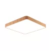 BRY-BLADE-SS-SQR-WDN-45W-RMT-CEILING LIGHT
