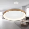 BRY-BELLA-SLS-SR-RND-GLD-36W-3IN1-IP20-CEILING LIG
