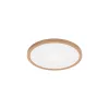 BRY-JADE-SLR-WDN-RND-20W-3IN1-CEILING LIGHT