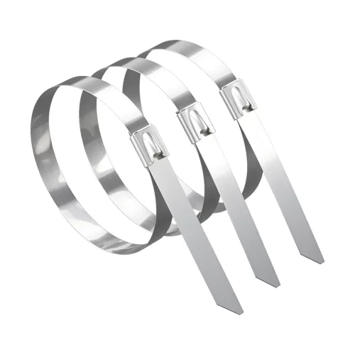 BRY-4,6x200mm-50pcs/bag-304 SS-SLV-CABLE TIES