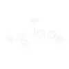 BIOR 6 WHITE