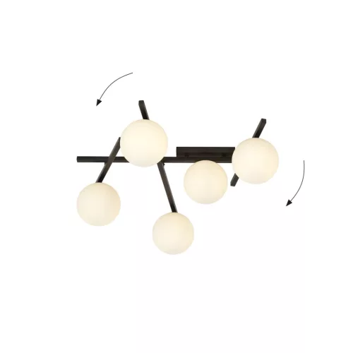 SMART 5 BLACK/OPAL
