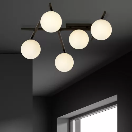 SMART 5 BLACK/OPAL