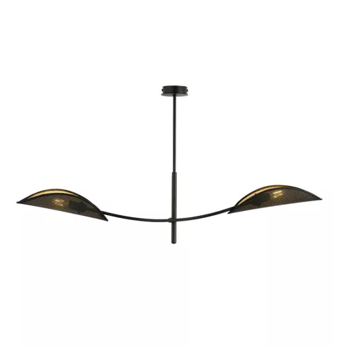 LOTUS 2 BLACK/GOLD