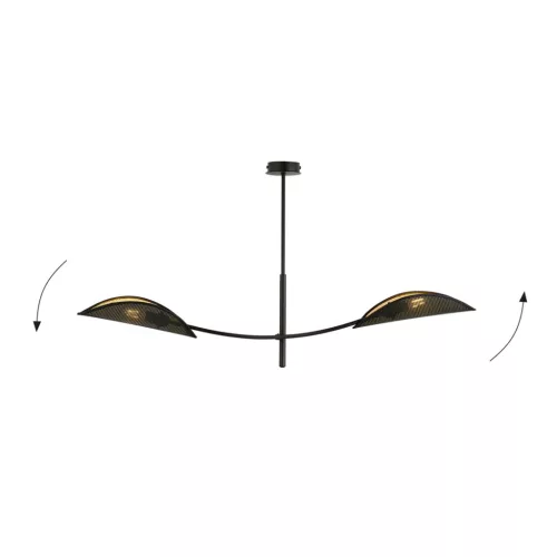 LOTUS 2 BLACK/GOLD