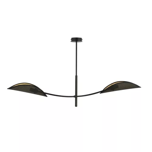 LOTUS 2 BLACK/GOLD