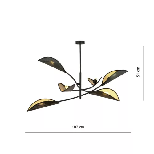 LOTUS 6 BLACK/GOLD