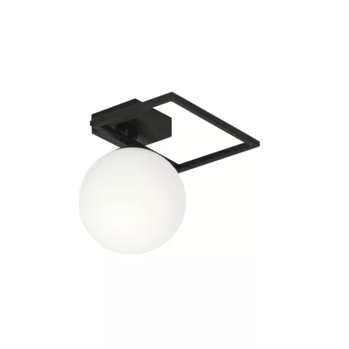 IMAGO 1E BLACK/OPAL
