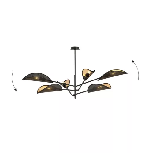 VENE 6 BLACK/GOLD