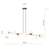 GRAVITY 8 BL OPAL