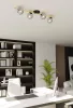 SPLENDI 4 BL GRAFIT