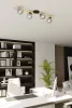SPLENDI 4 BL GRAFIT