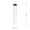 SELTER 3 PREMIUM GOLD 