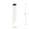 SELTER 3 PREMIUM GOLD 