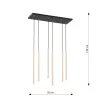 SELTER 6 GOLD
