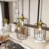 VANDER 4 BL GOLD