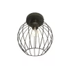 NEST 1 BL