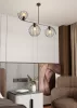 ECHO 3 BL