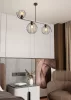 ECHO 3 BL
