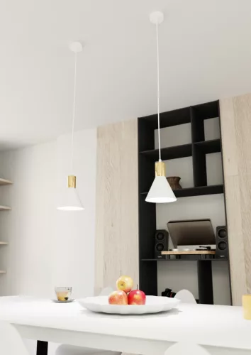 ROSA 1 WH