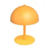 MOGU LN2 OR