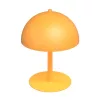 MOGU LN2 OR