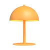 MOGU LN2 OR