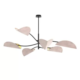 LOTUS 6 BL GRAY