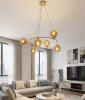 AZURA 6 MOKKA AMBER
