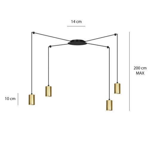 TRAKER 4 BL/GOLD