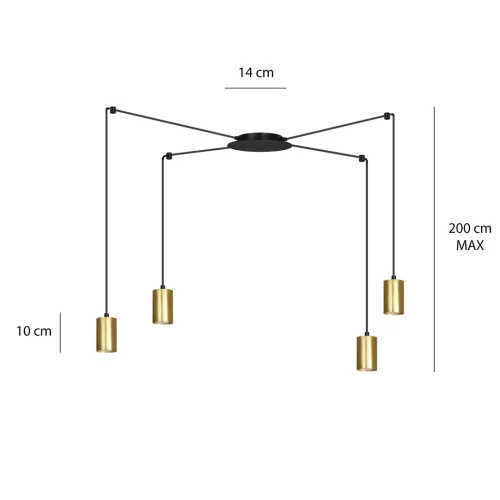 TRAKER 4 BL/GOLD