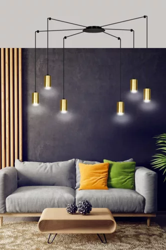 TRAKER 6 BL/GOLD