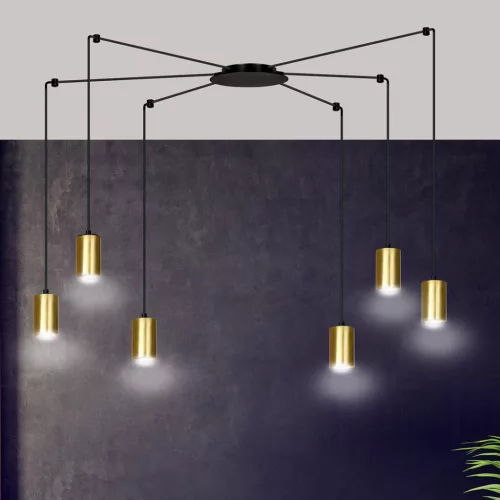 TRAKER 6 BL/GOLD