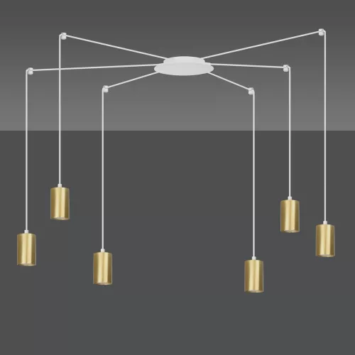 TRAKER 6 WH/GOLD