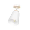 ATLAS 1 WHITE