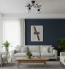 BRENDI 4 BL TRANSPARENT
