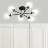 BRENDI 6B BL TRANSPARENT