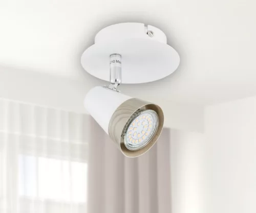Ceiling lamp  1PŁ. ROX 1300