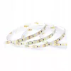 LED COMFORT 300 2835 IP20 6000K 5M 14W/M