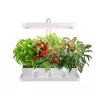 LED növénynevelő lámpa LED BLOOM 20W 3500K Kobi Design